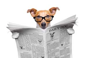 News & Stories from the Lodge